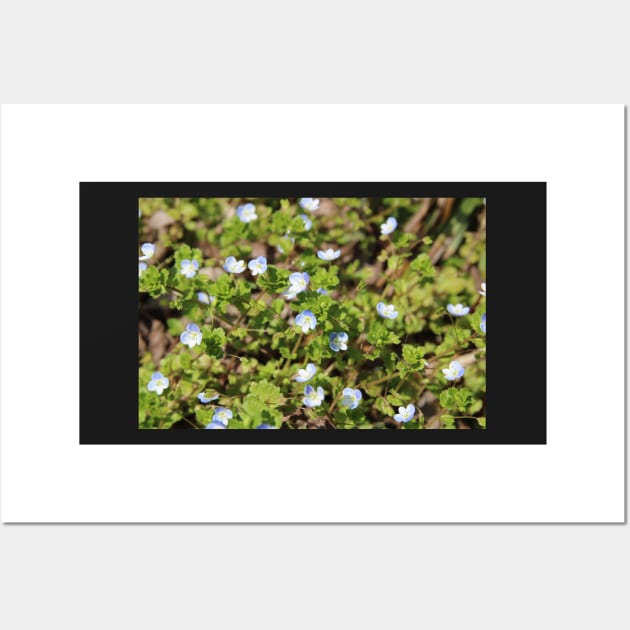 Tiny Blue Flower Meadow Wall Art by AustaArt